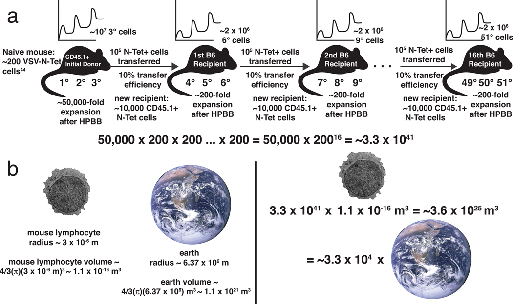 Extended Data Fig. 3 |