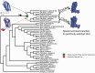 F<sc>ig</sc>. 5.