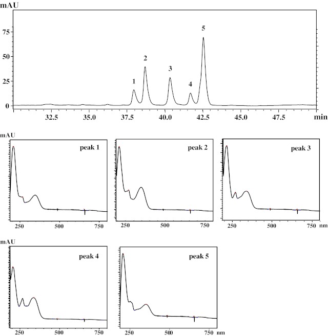 Fig. 4