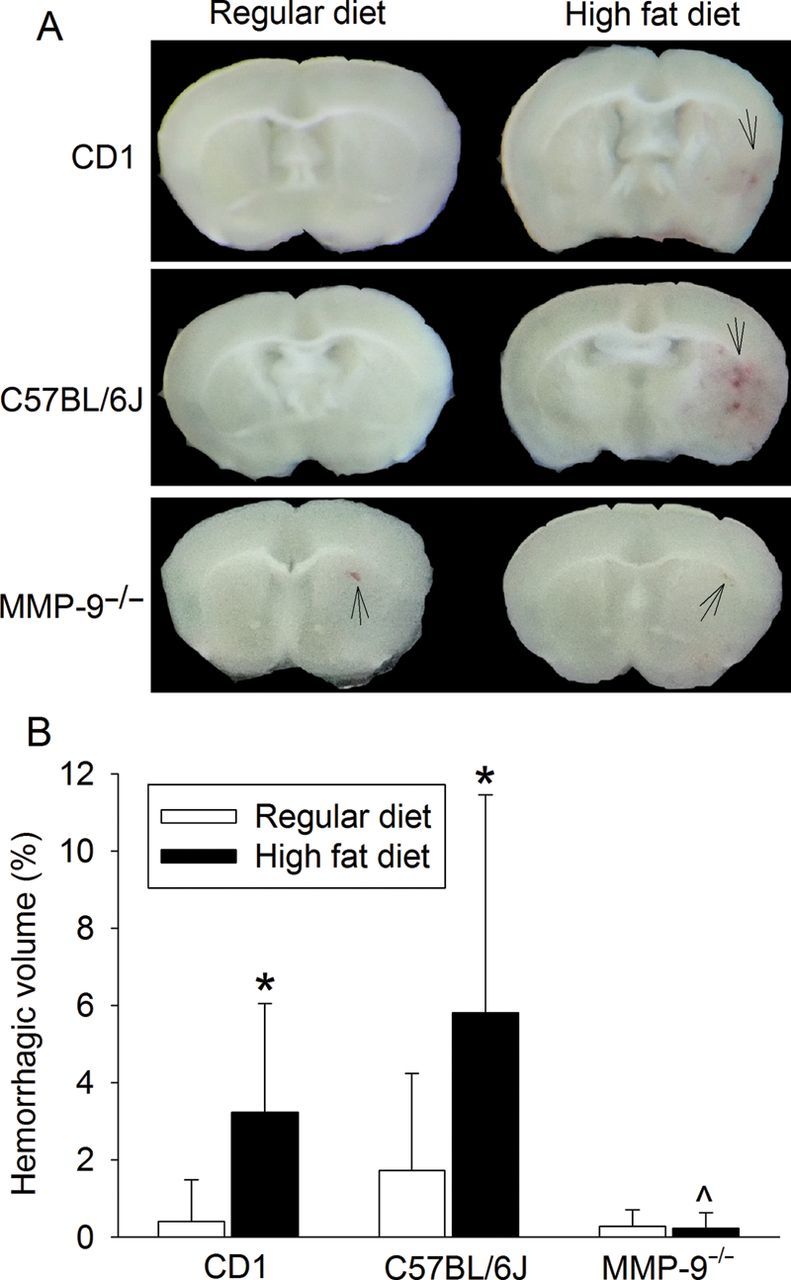 Figure 5