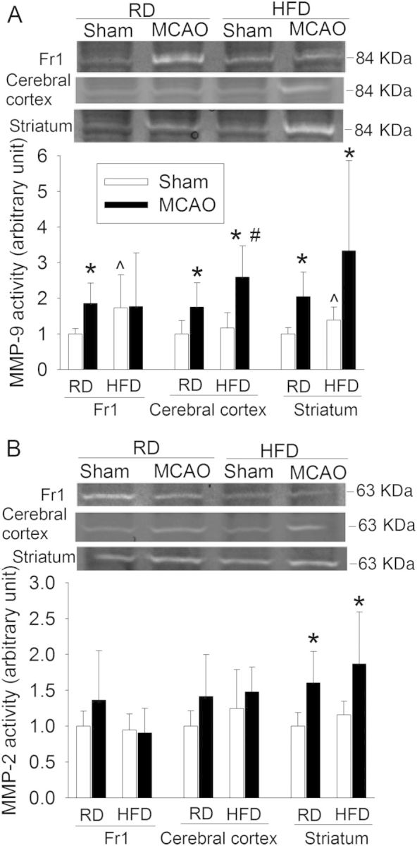 Figure 6