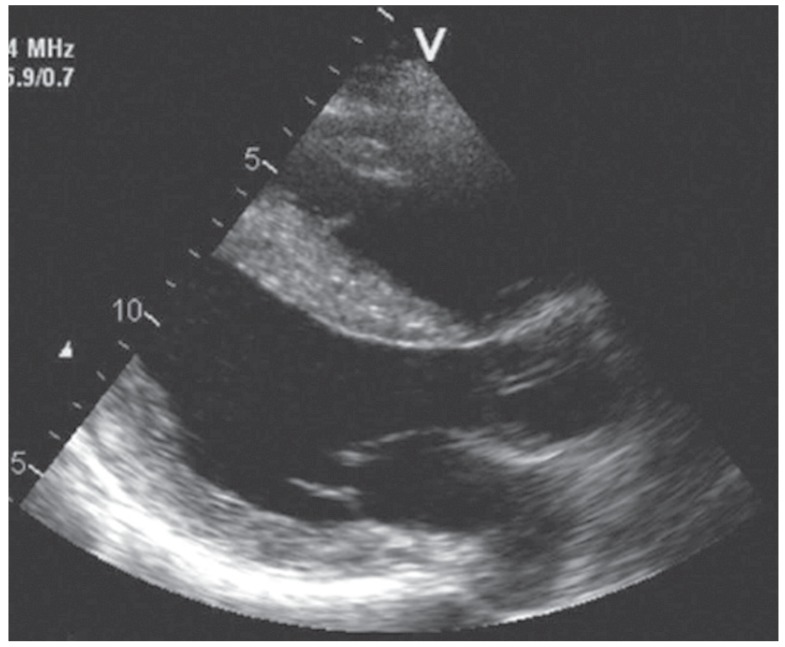 Fig. 5