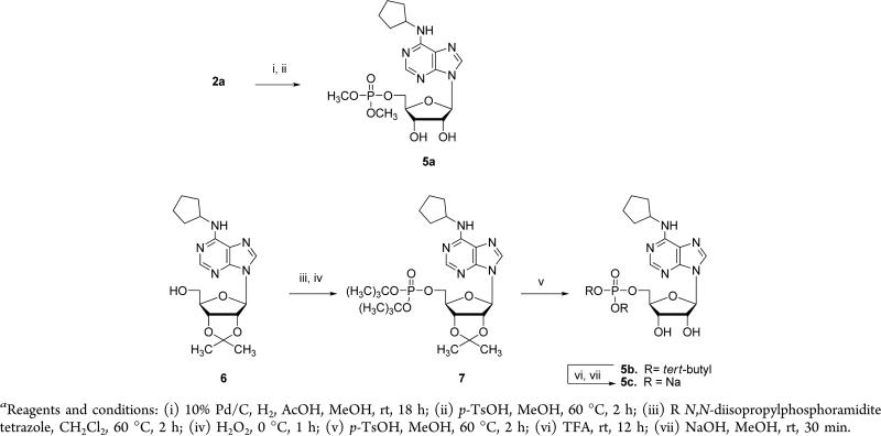 Scheme 2