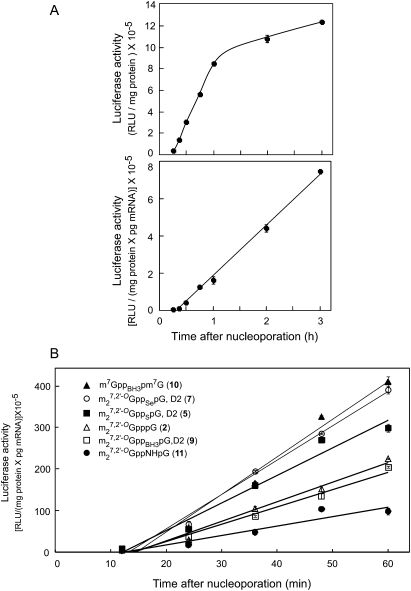 FIGURE 4.