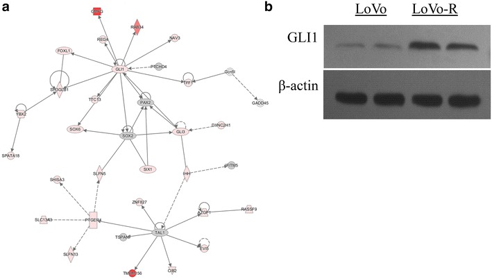 Fig. 2