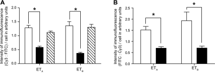 Fig. 10.