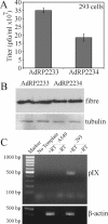 FIG. 7.