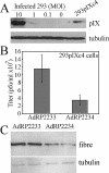 FIG. 6.