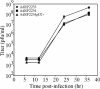 FIG. 4.