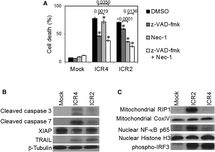 Figure 4