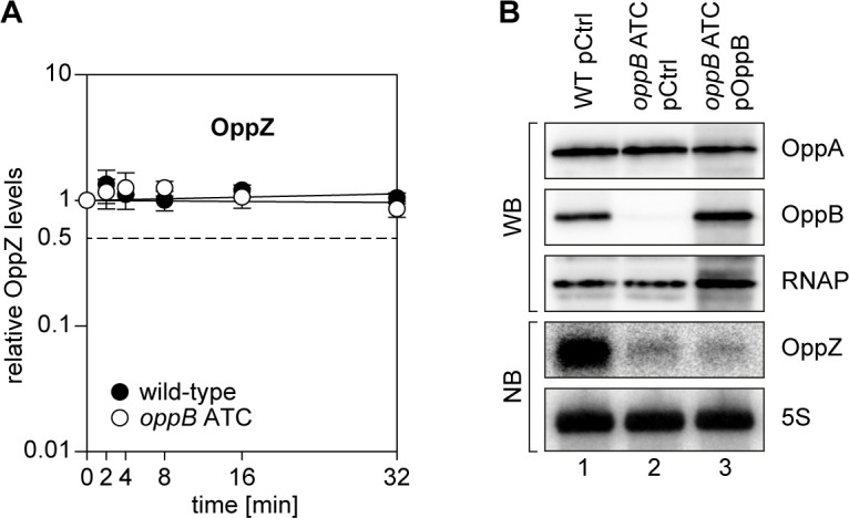 Figure 4—figure supplement 1.