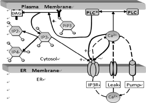 Fig. 3