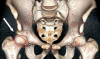 Fig. 7
