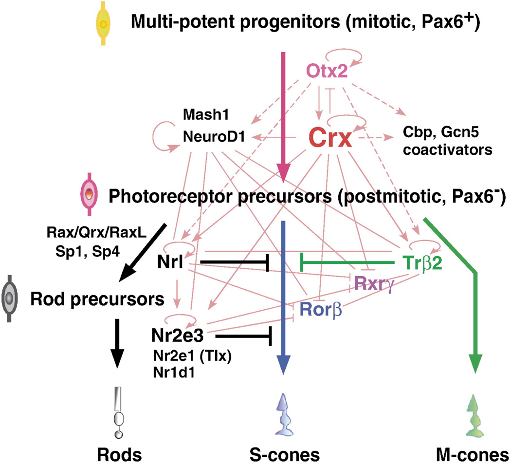 Fig. 3