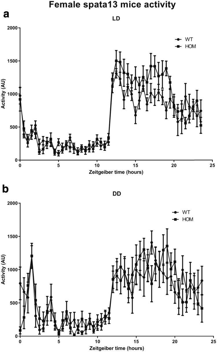 Fig. 3