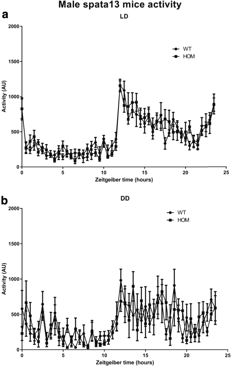 Fig. 4