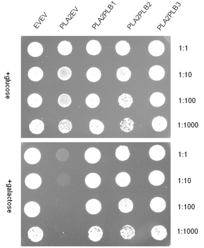 Fig. (4)