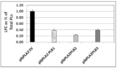 Fig. (5)