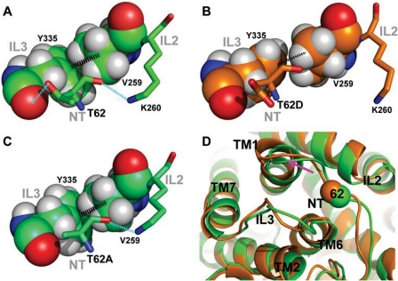 Fig. 10.