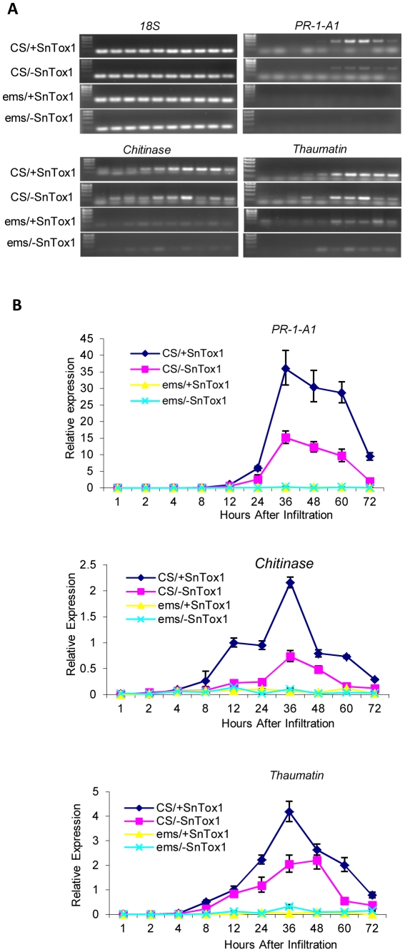 Figure 10