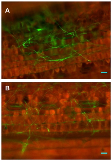 Figure 14