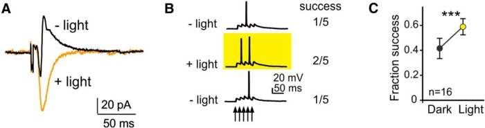 Figure 5.