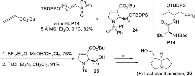 Scheme 22.