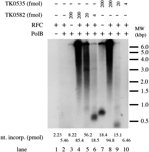 Fig. 5.