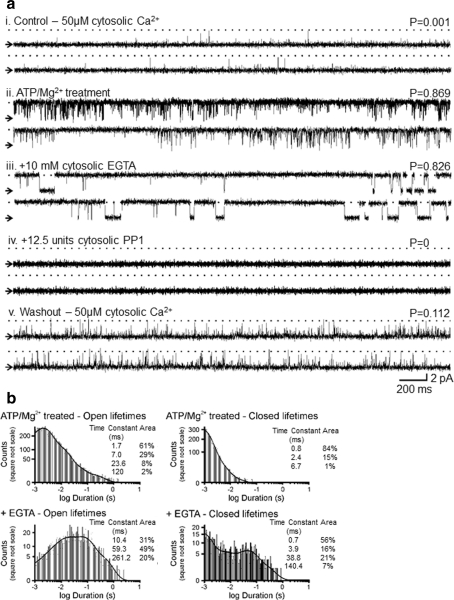 Fig. 4