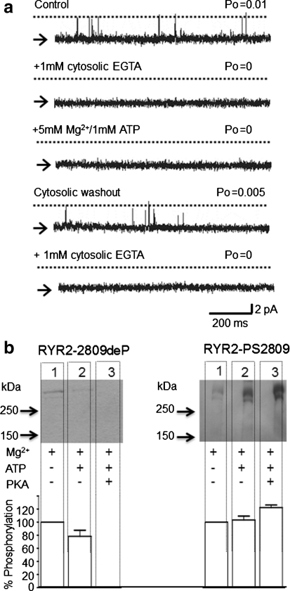 Fig. 7