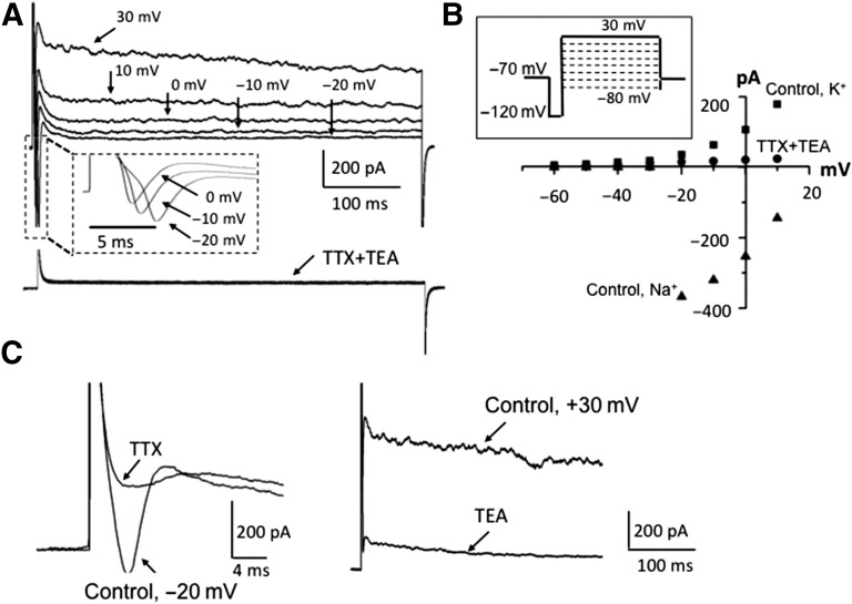 Figure 4.