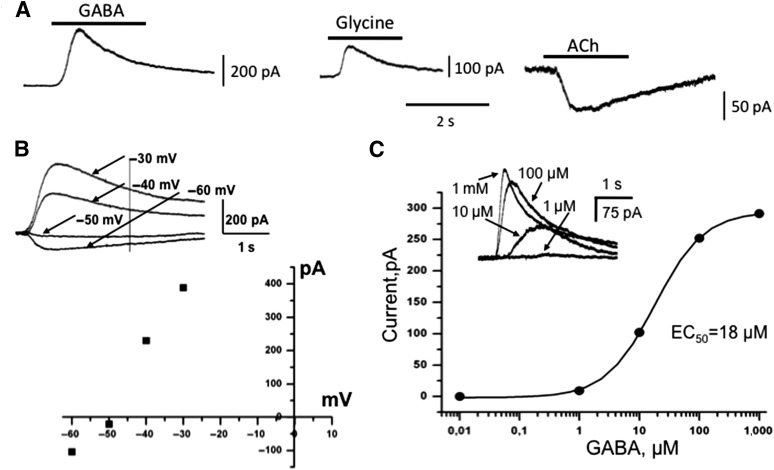 Figure 5.