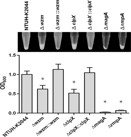 FIG. 7.