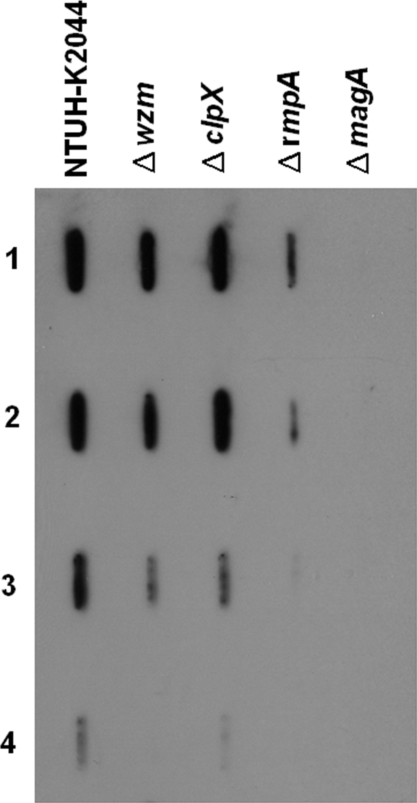 FIG. 8.