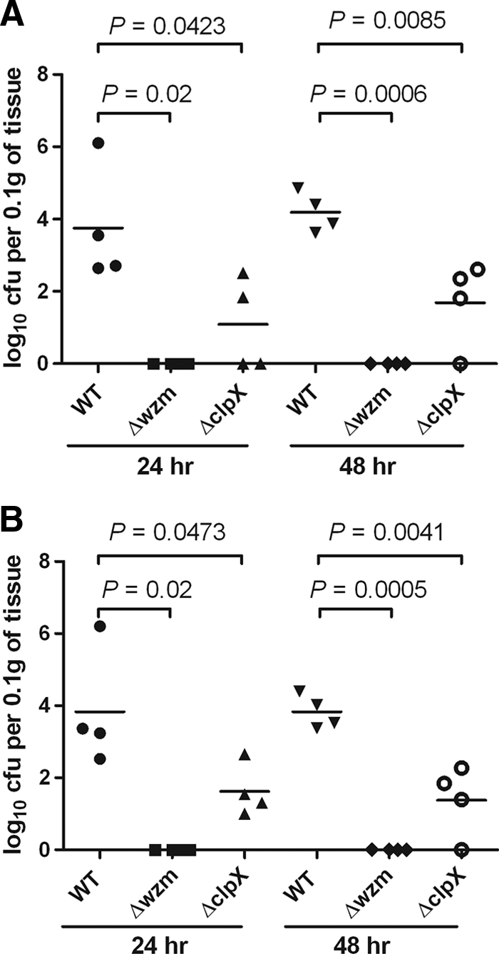 FIG. 10.