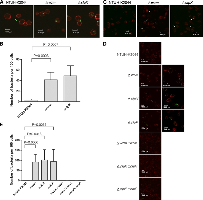 FIG. 2.