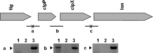 FIG. 5.