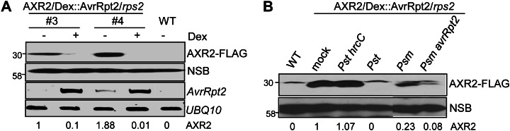 Figure 2.