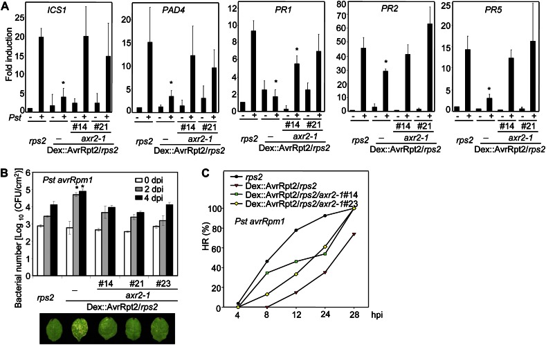 Figure 6.