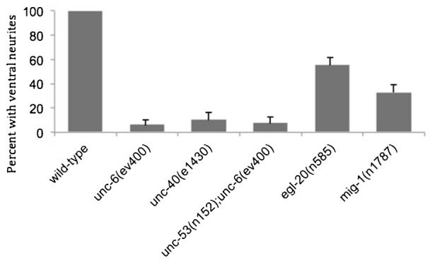 Fig. 8.