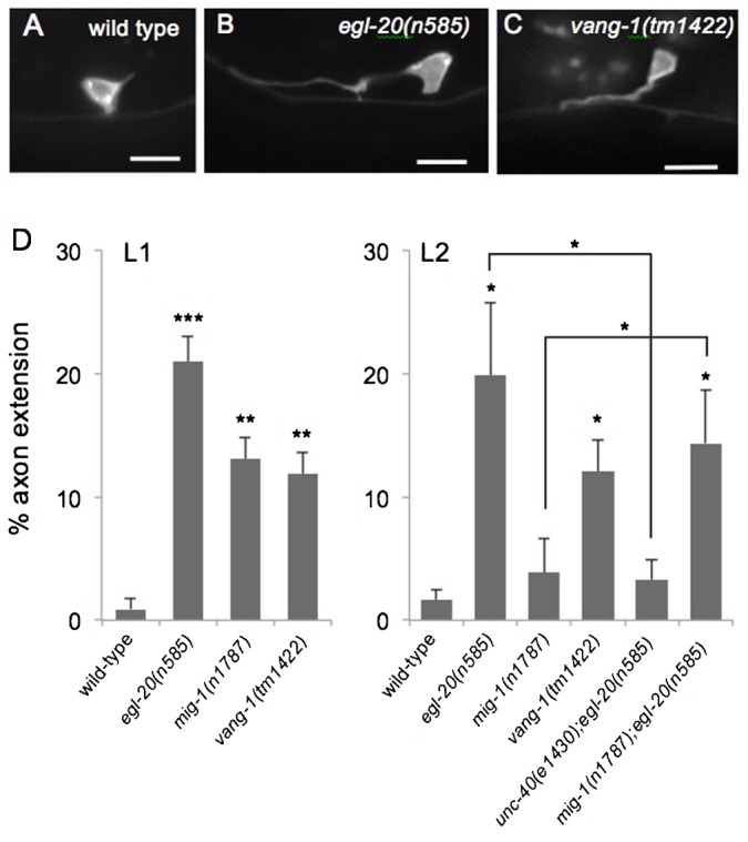 Fig. 9.