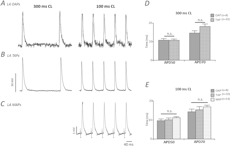 Fig. 3