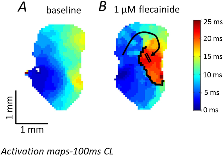 Fig. 5