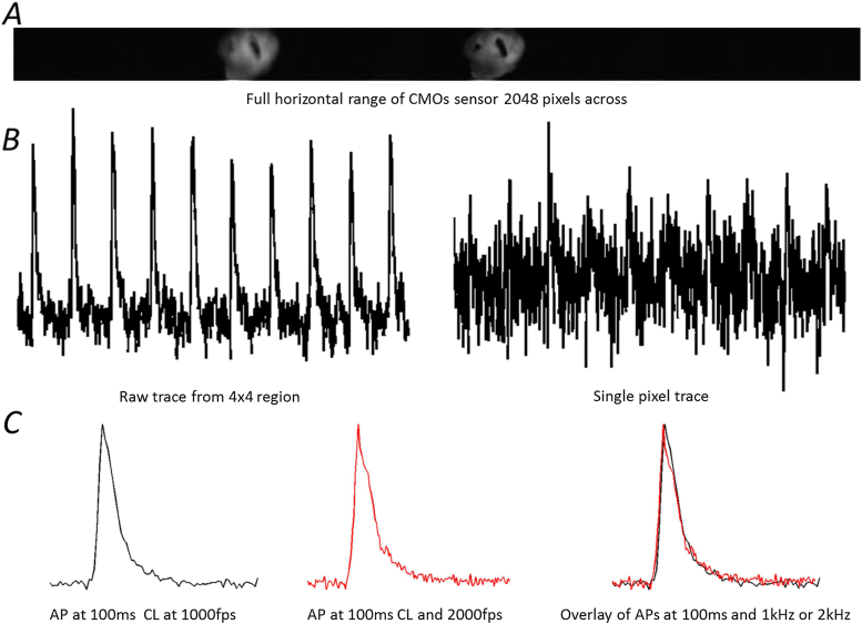 Fig. 2