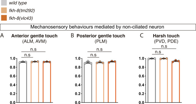 Figure 6—figure supplement 1.