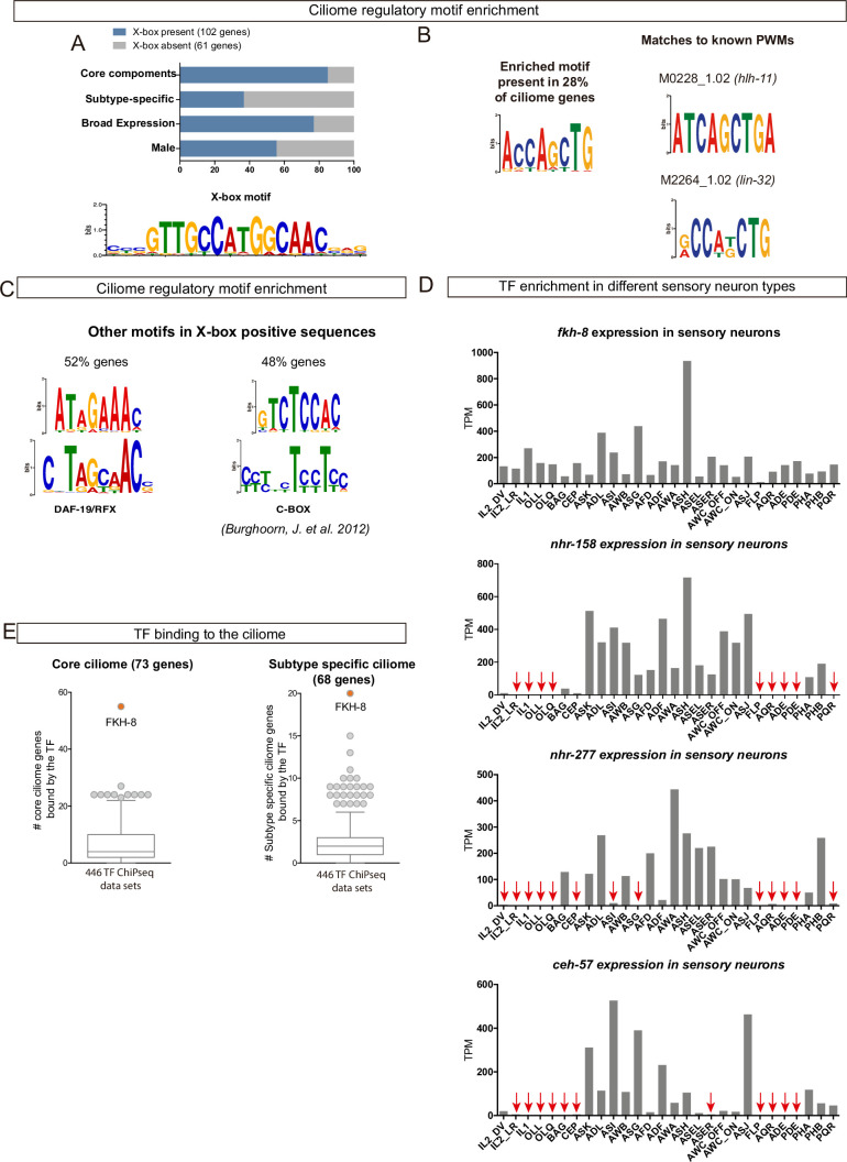 Figure 1—figure supplement 3.