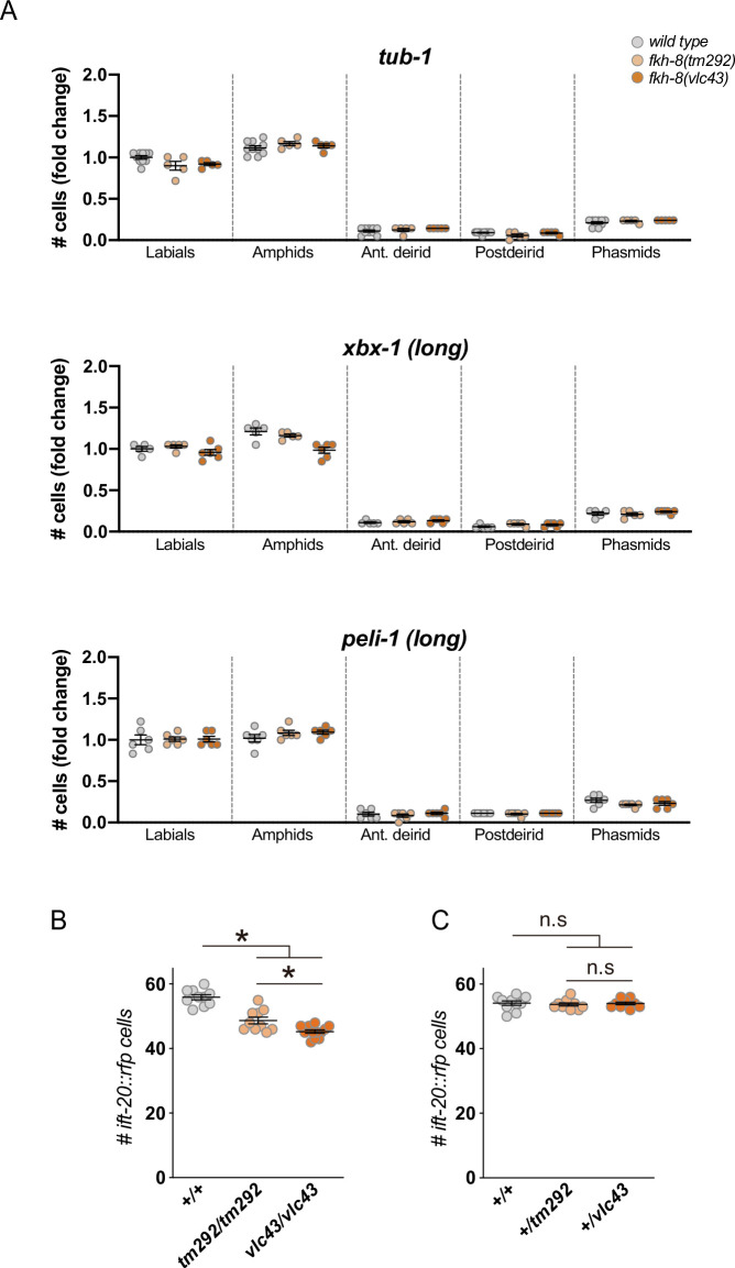 Figure 3—figure supplement 1.