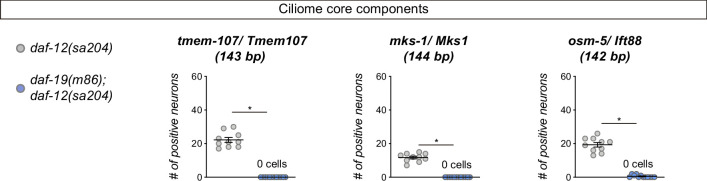 Figure 1—figure supplement 2.