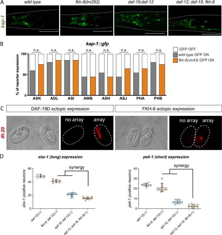 Figure 4—figure supplement 2.