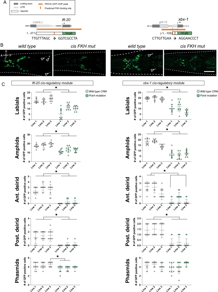 Figure 3—figure supplement 2.